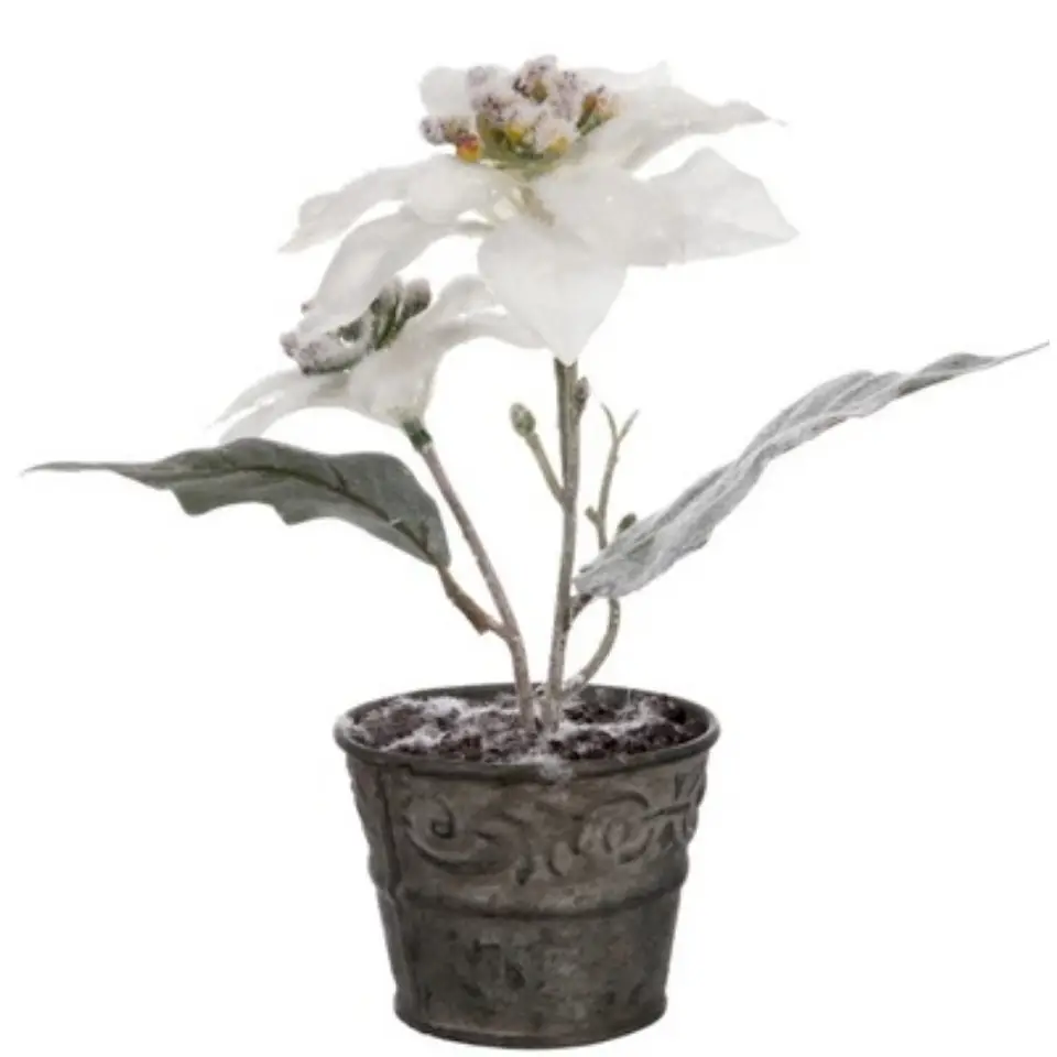 POT CHRISTMAS WHITE STAR SNOW EFFECT